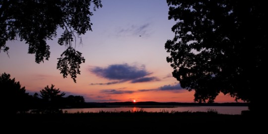 posterbrain - Trees - IMG_5641_DxO.jpg