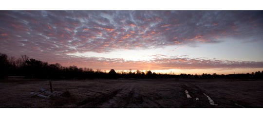 large scale printing -  - Untitled1.jpg