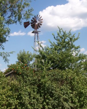print a poster - Windmill - 016b.jpg