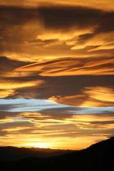 {keyword:nil} -  - IMG02043162011fromhomeJPG.jpg