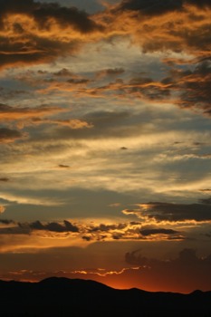 {keyword:nil} -  - IMG0093791193sunsetportaitJPG.jpg