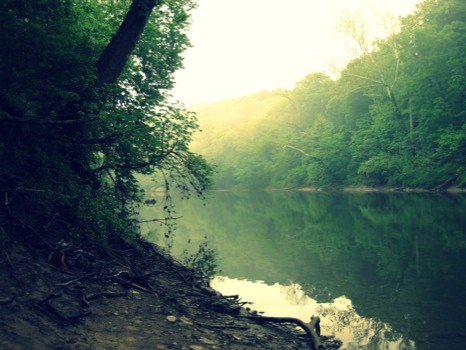 poster -  - crossprocessupcreek.jpg