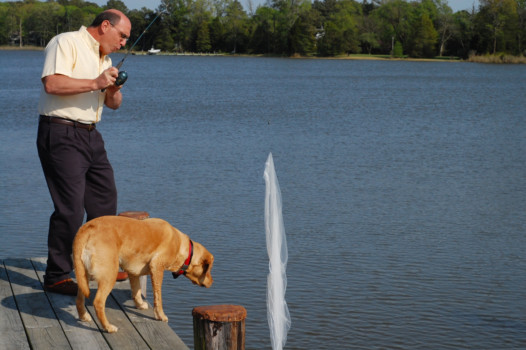 print a poster - Man Fishing With Dog - DSC_2157.jpg