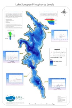posterbrain -  - LSPhosphorus24x36.pdf