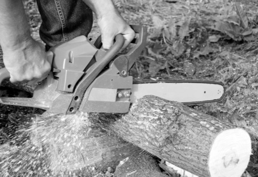print a poster - Chainsaw - firewood.jpg