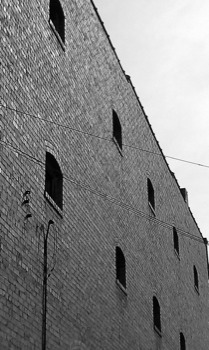poster brain - Building Grey Wall Windows - IMAG0291.jpg