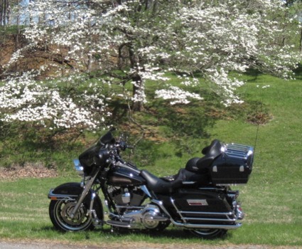 print a poster - Motorcycle - IMG0356crop.jpg