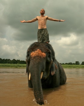 poster - Elephant - IMG9948Version3.tiff
