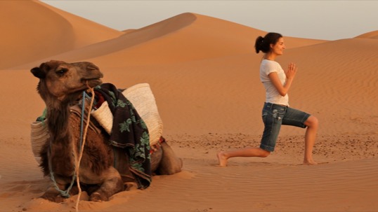 poster - Camel - IMG3303.tiff