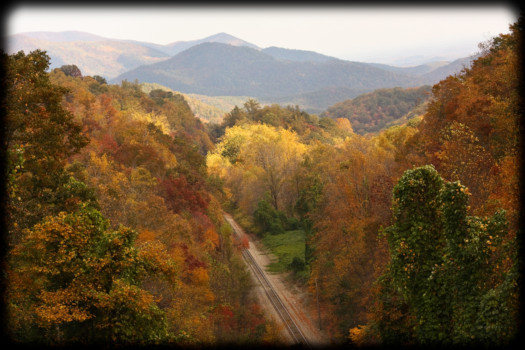 Posterbrain - Trees Mountains Road - 1_of_1_11_13.jpg