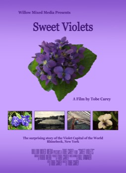 24 x 36 printing -  - Sweetvioletsposterfinal.pdf