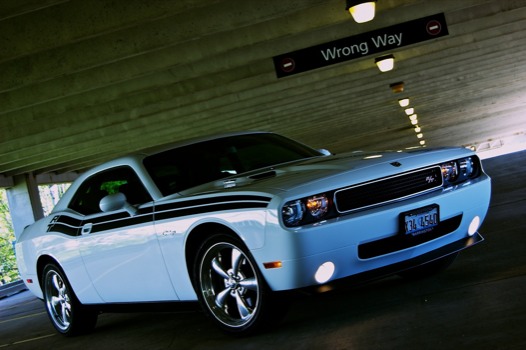 poster - White Car Garage - 577858155438025b1832o.jpg