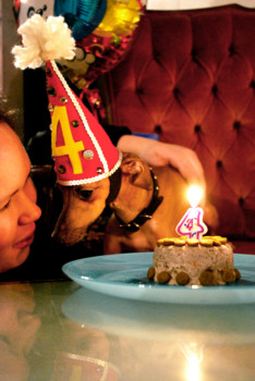 www - Dog 4th Birthday Cake - Final_2.tif