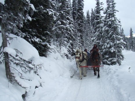 print a poster - Horse - 122906SleighinpathwayBeautiful.jpg