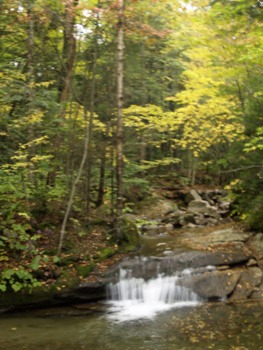 print a poster - Trees Stones Water Falls - 093009WaterfallinPemiRiver02E.jpg