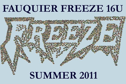 print a poster - Freeze Summer 2011 - FauquierFreeze16UCollage.jpg