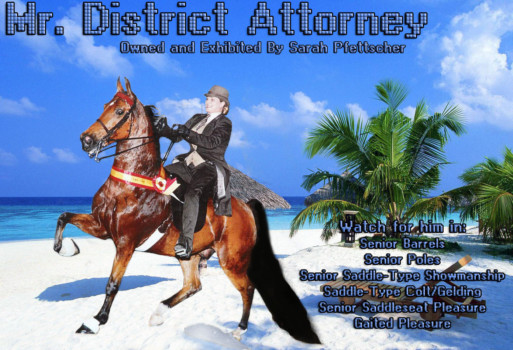 where can i blow up a photo - Mr District Attorney - happychoice1.jpg