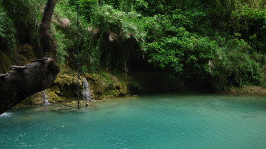 36 poster printing - Blue Pond With Trees - IMG_4982.jpg