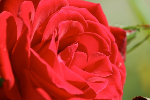 get -  - IMG0473.jpg