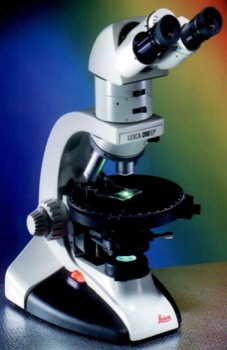 posterbrain - Microscope - mircoscope.png