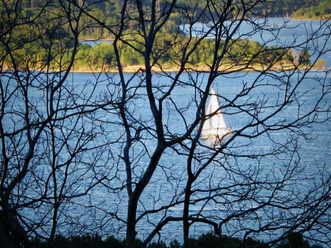 print a poster - Lake Scene - IMG_0376.jpg