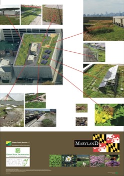 posterbrain - Maryland - Baltimore.jpg