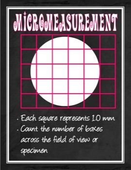 print a poster - Micromeasurement Field Of View - PosterMicromeasurement.jpg