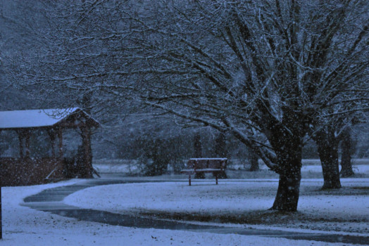 cutsom - Winter Park Scene - parksnow.jpg