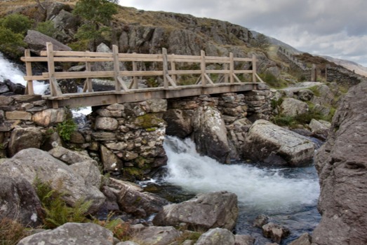 poster brain - Wooden Bridge - shutterstock_65507884__11_larg.jpg