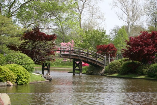 poster brain - Footbridge - shutterstock_30959935_5_super.jpg