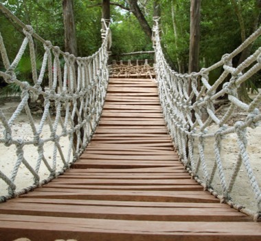 poster brain - Rope Bridge - shutterstock_72491713_3_super.jpg