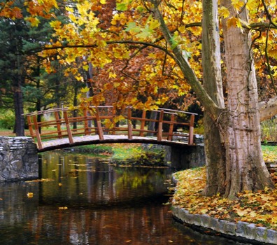 poster brain - Bridge - shutterstock_35596903_13_super.jpg