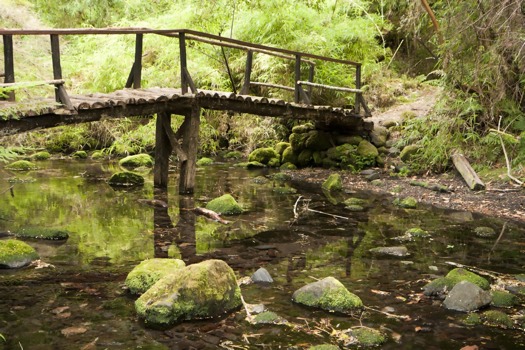 poster brain - Footbridge - shutterstock_72293851__10_supe.jpg