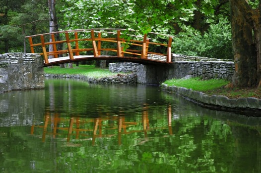 poster brain - Bridge - shutterstock_1944723_4_super.jpg