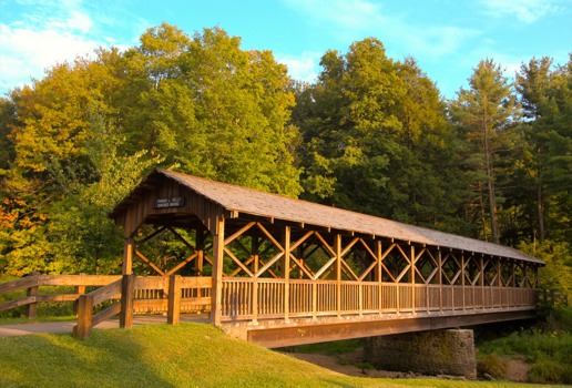 poster brain - Bridge - shutterstock_49518154__7_super.jpg