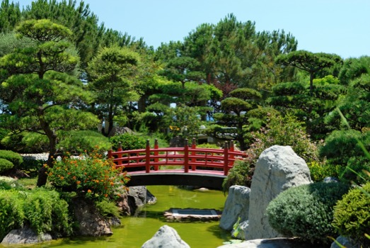 poster brain - Garden - shutterstock_53532817__9__supe.jpg