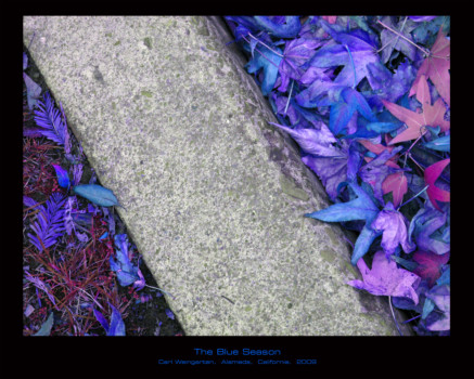 print a poster - Purple Leaves - BlueSeason_24x30.tif
