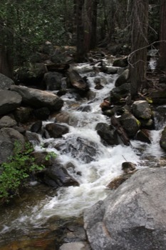 24x36 prints online - Water Stream - IMG_1114.JPG.jpg