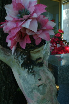 photo enlargement in mcallen tx - Flowers - DSCF6428.jpg