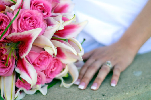{keyword:nil} - Pink Rosses - 39903_794008673315_22422200_45010081_827.jpg