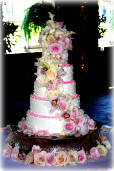 {keyword:nil} - Wedding Cake - IMG_5989.jpg